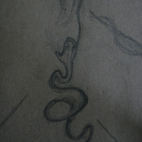 Зарисовки Змеи